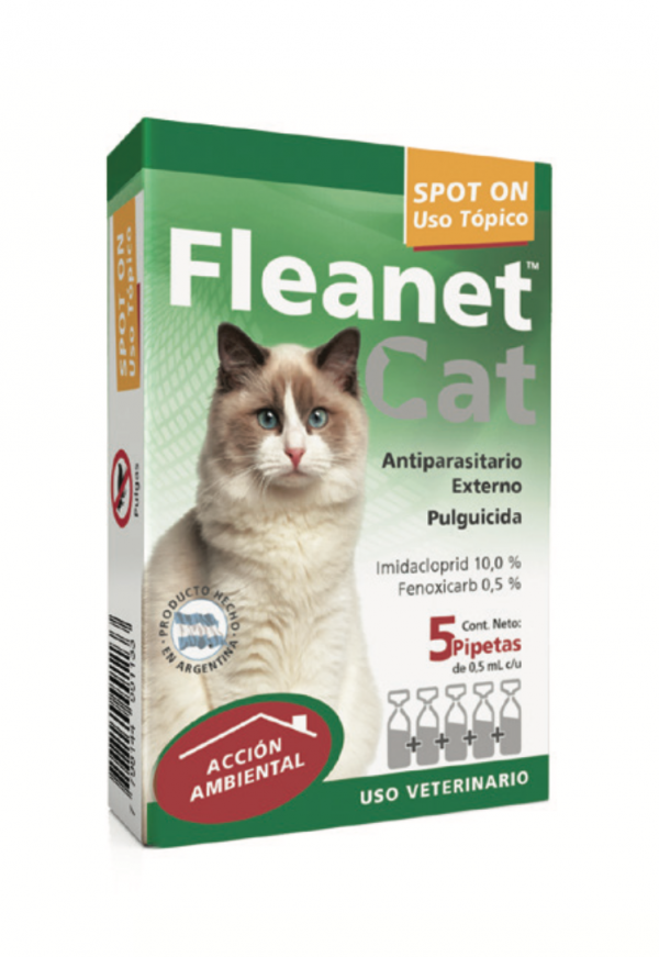 Fleanet Cat