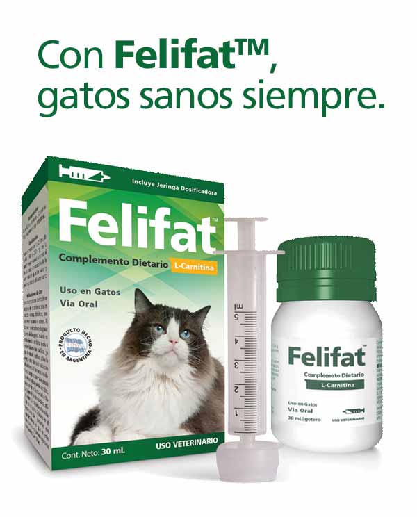 Con Felifat™, gatos sanos siempre.